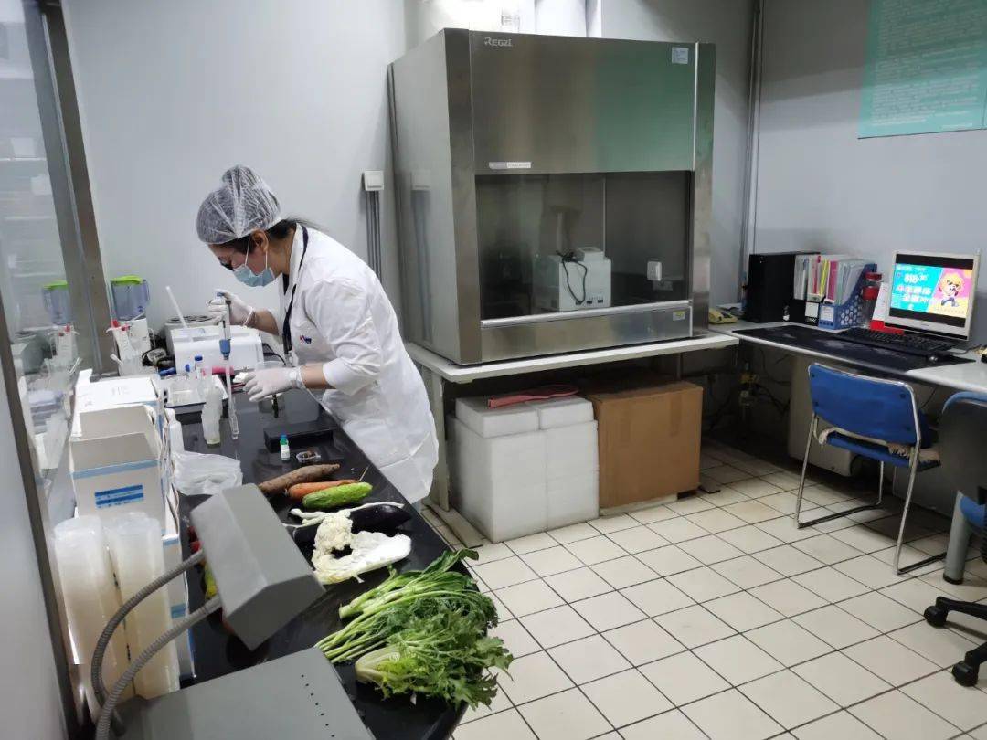 四川食品检测实验室装修方案